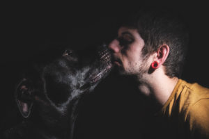 Fotografía de mascotas en Oviedo, Asturias.