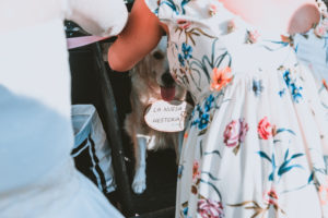 Fotografía de bodas en Asturias y Barcelona