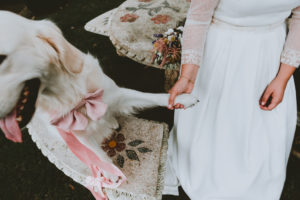 Fotografía de bodas en Asturias y Barcerlona